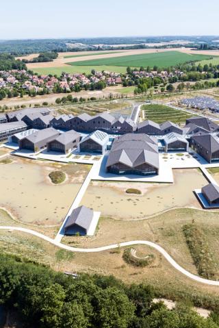 Nature de l'opération 