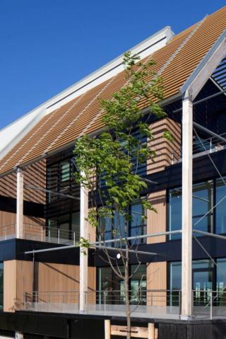 Nature de l'opération 