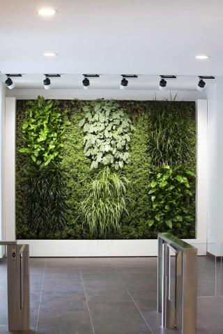 Nature de l'opération